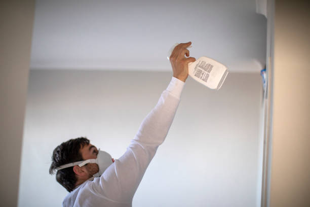 Mold Removal Process in Day Valley, CA